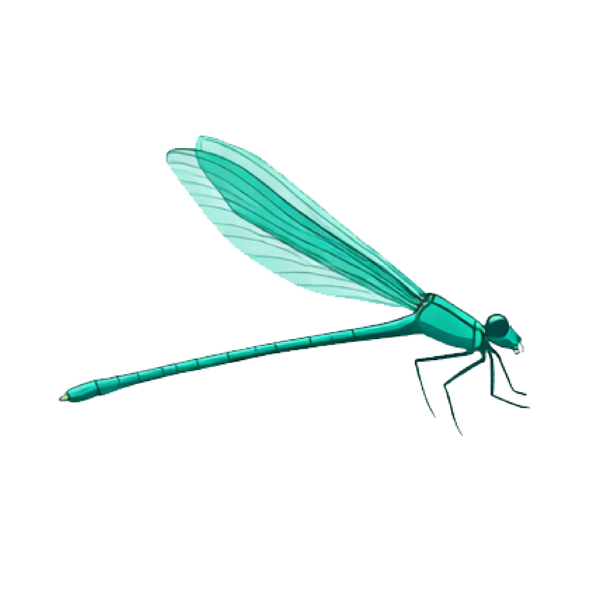 Zygo icono